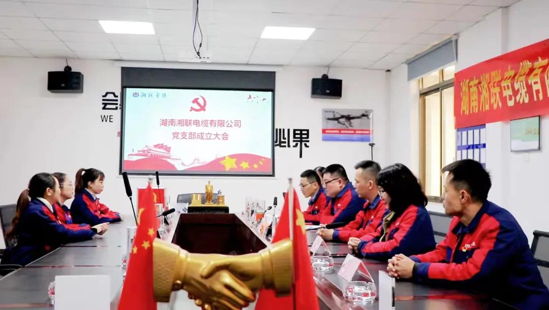 新征程 | 熱烈祝賀湖南湘聯(lián)電纜有限公司黨支部正式成立！